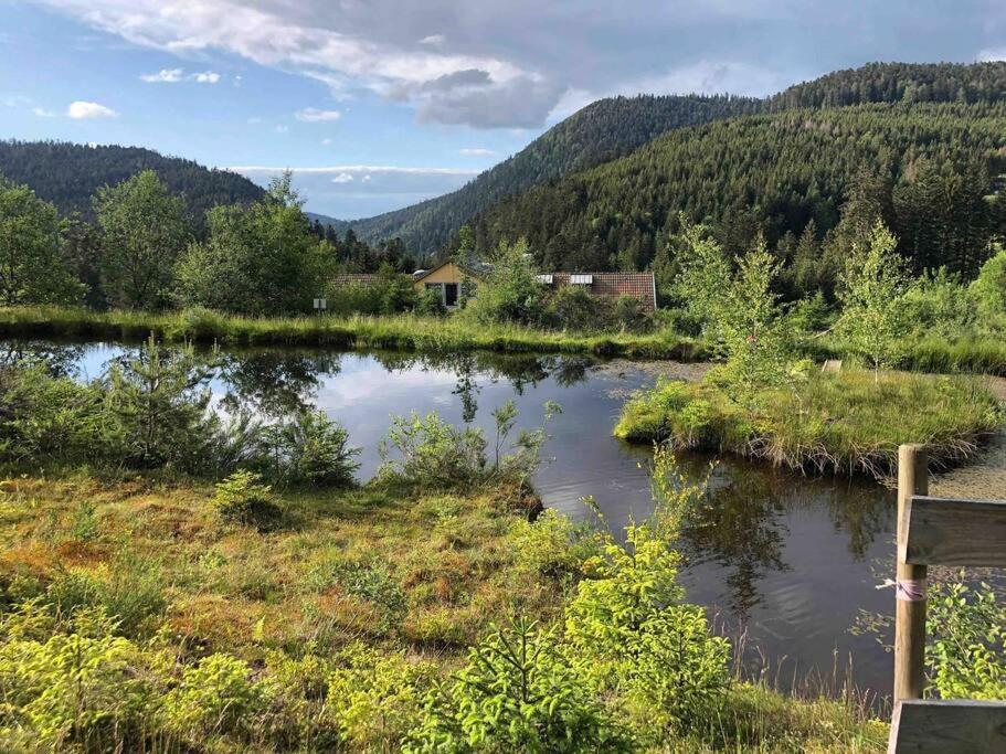 Le Perchoir- Grand Valtin 6 Pers Apartamento