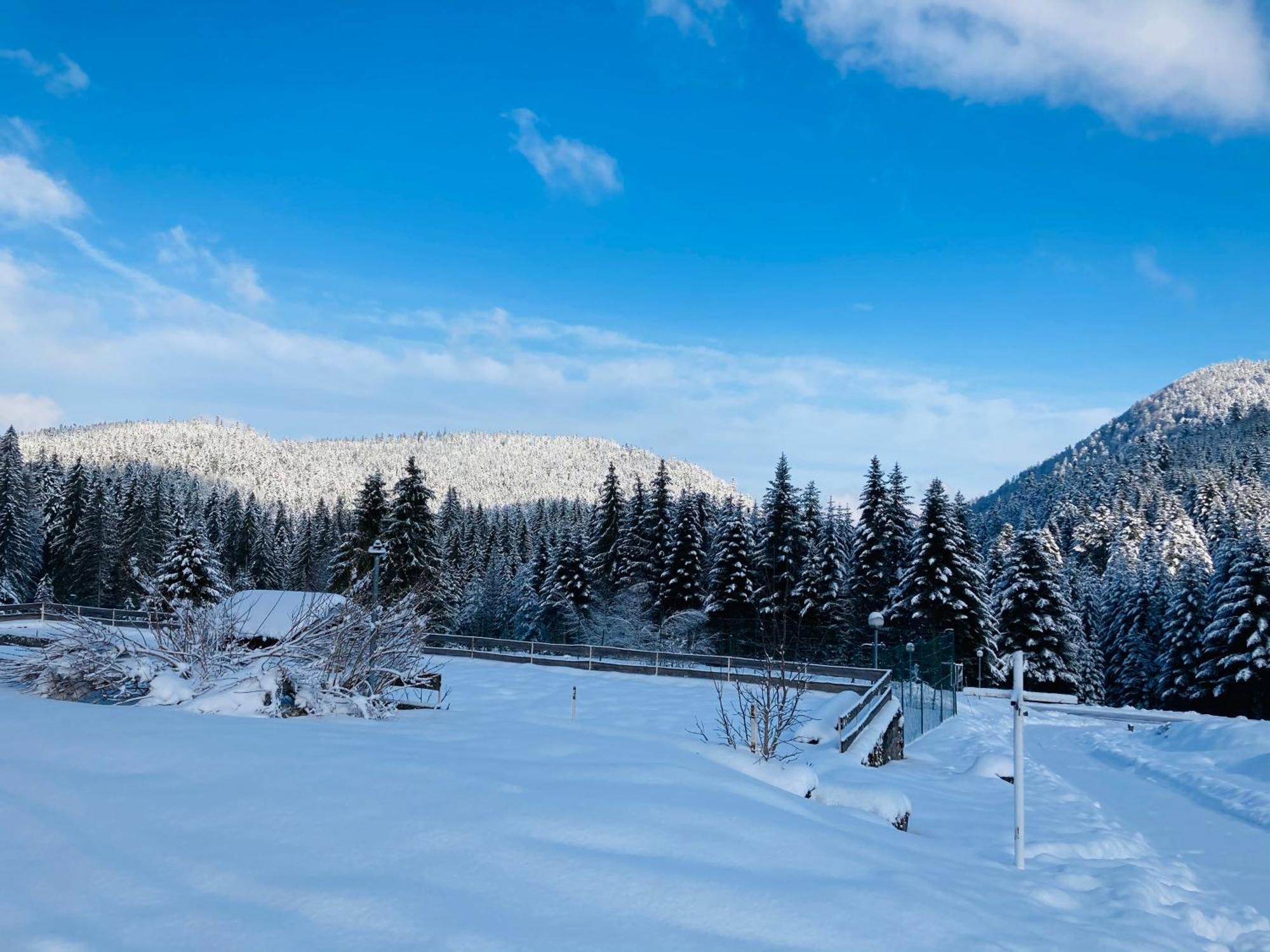 Le Perchoir- Grand Valtin 6 Pers *